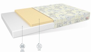 dream ikony dino.jpg