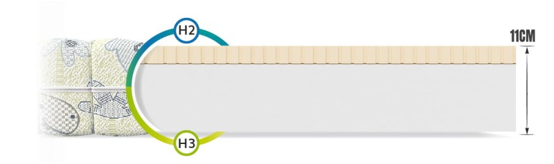 przekrój dream dino-02.jpg