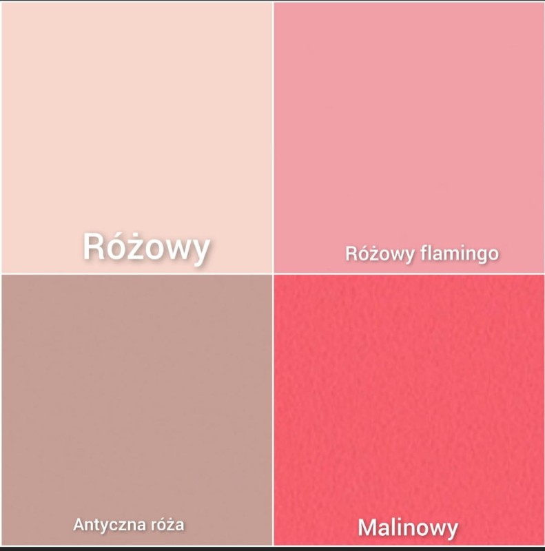 Biurko dla dziewczynki dostępne w pastelowych kolorach – zobacz dostępne odcienie (np. pudrowy róż, miętowy).